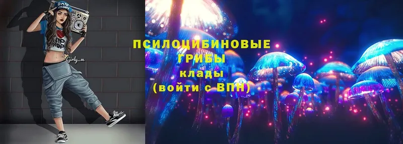 KRAKEN рабочий сайт  Георгиевск  Псилоцибиновые грибы Magic Shrooms 